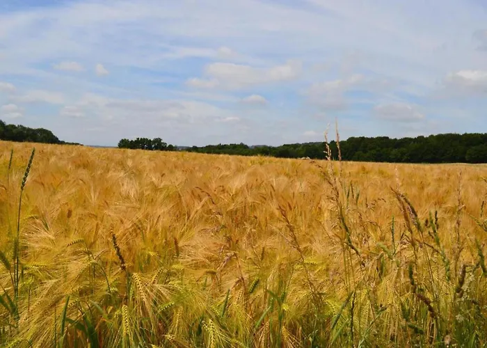 Chalet Renovated Near